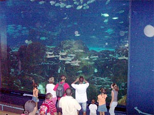 A trip to the New Jersey Aquarium - 22